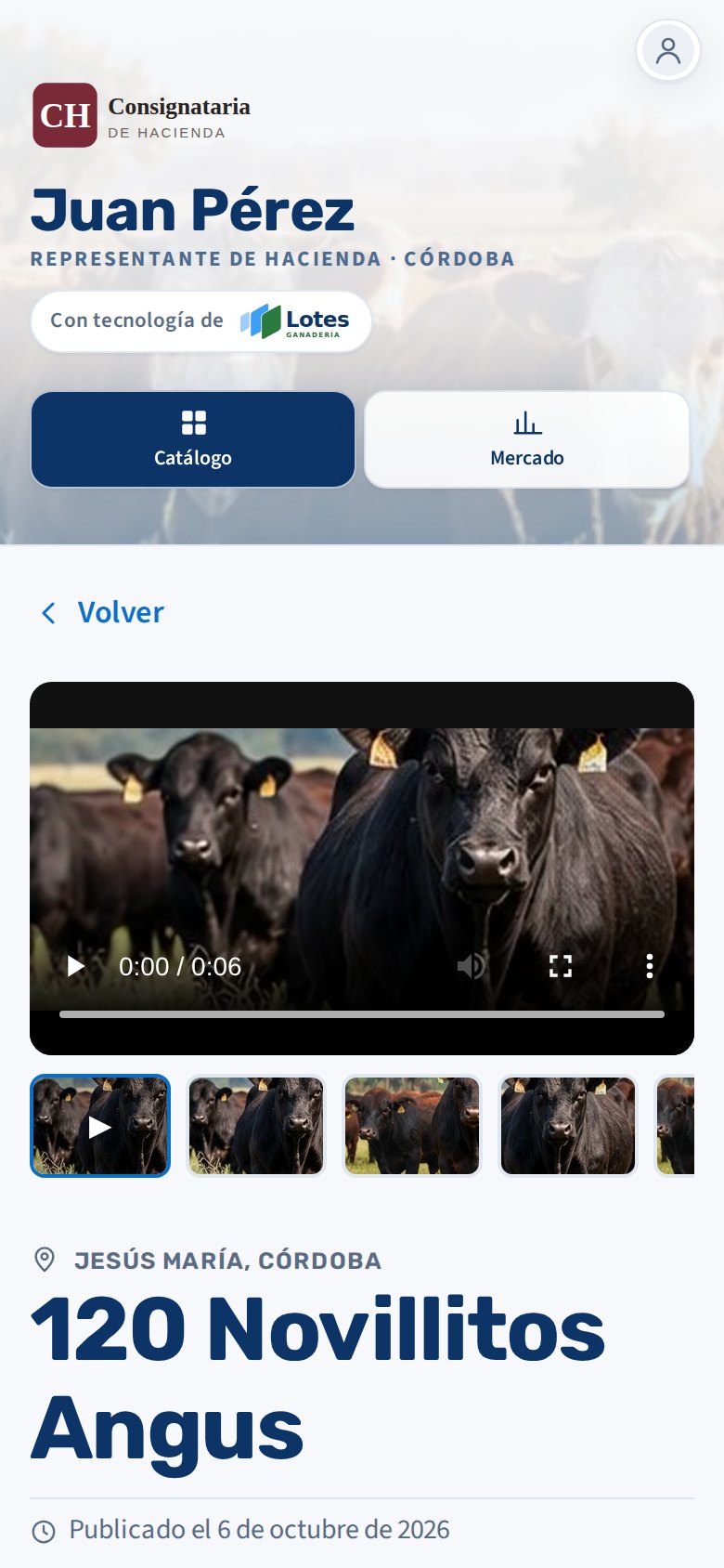 Ficha de un lote en el celular, con video y fotos